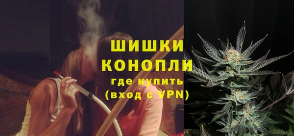 соль ск Гусев
