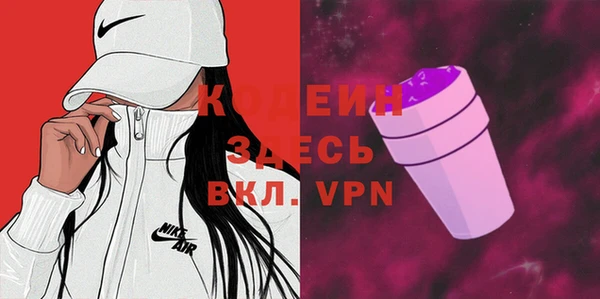 эйфоретик Гусь-Хрустальный