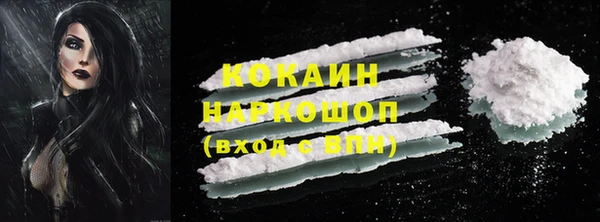 эйфоретик Гусь-Хрустальный