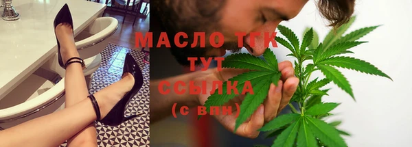 эйфоретик Гусь-Хрустальный