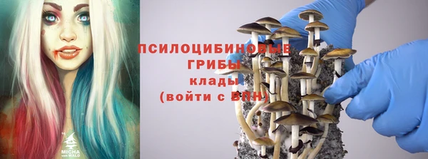 соль ск Гусев