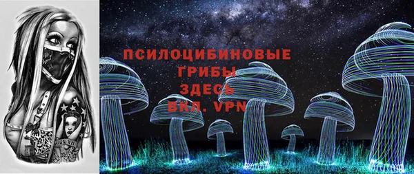 эйфоретик Гусь-Хрустальный