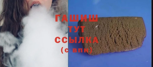 эйфоретик Гусь-Хрустальный