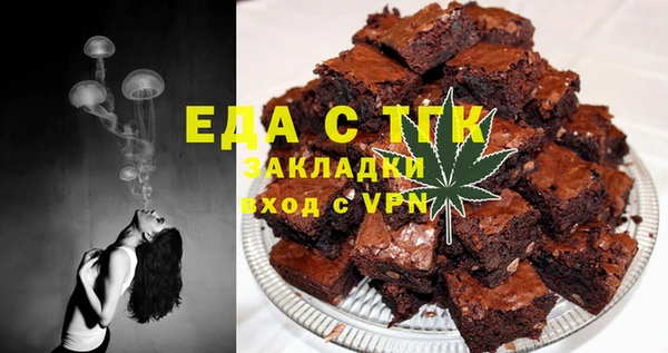 эйфоретик Гусь-Хрустальный