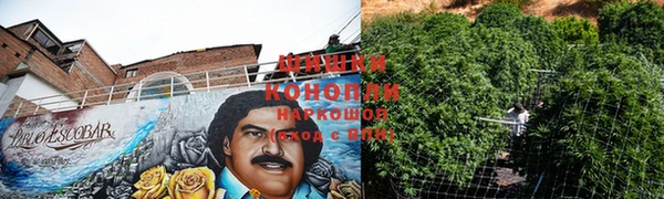 соль ск Гусев