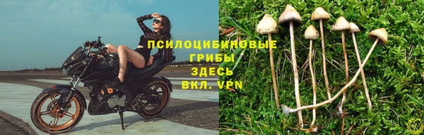 соль ск Гусев