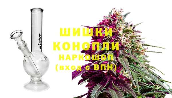 дживик Дмитров