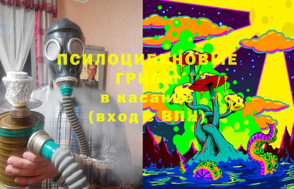 соль ск Гусев