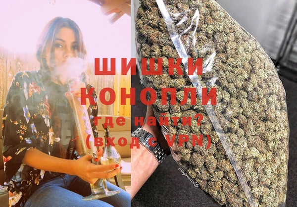сатива Гусиноозёрск