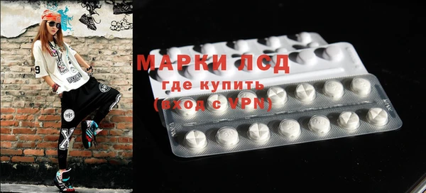 сатива Гусиноозёрск